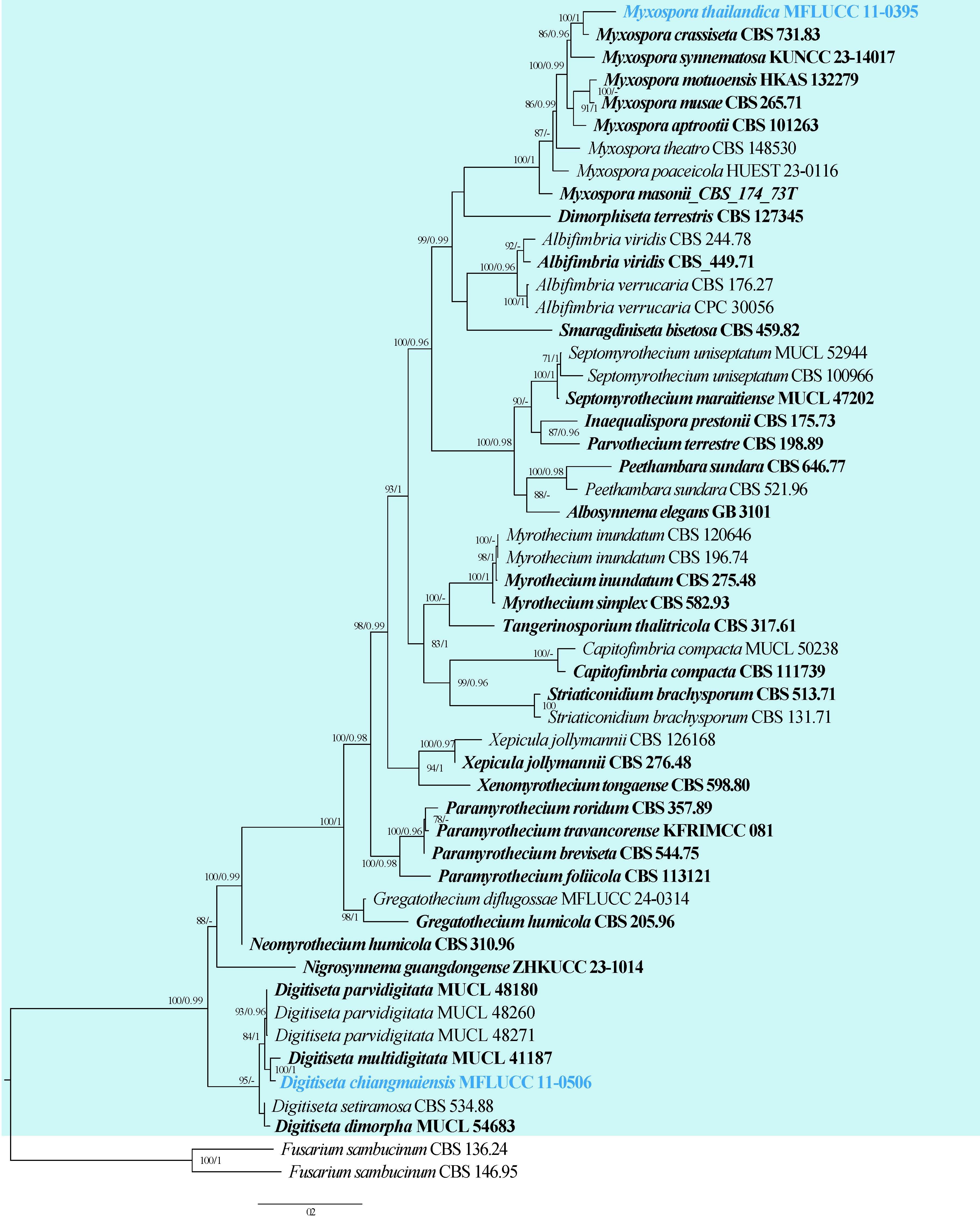 Figure 15